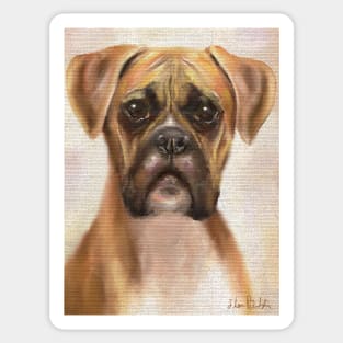 Painting of a Brown Boxer, Looking Directly at You Sticker